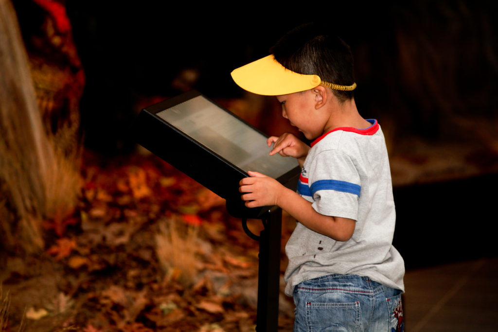young boy using an interactive display in a nature centre