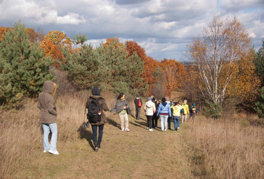 about 20 people hiking along grassy trail with trees in various fall colours