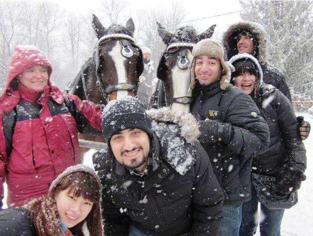 4 Trent University international studies students smiling with their 2 local hosts in front of 2 horses in the snow