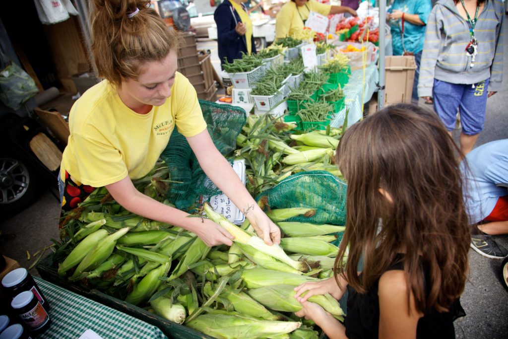 two young women examining fresh corn cobs at MacLean Berry Farm market