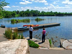 people standing on edge of Otonabee River with ducks nearby and a dock with kayaks for rent in the background