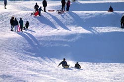 people tobogganing on a hill